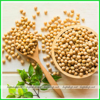 Hạt Đậu Nành, Đậu Tương Vàng Thơm Thuần Chủng - 500g