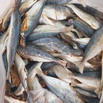 500g khô cá nục bao ngon