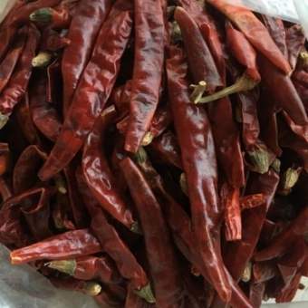 sỉ toàn quốc 1kg quả ớt khô