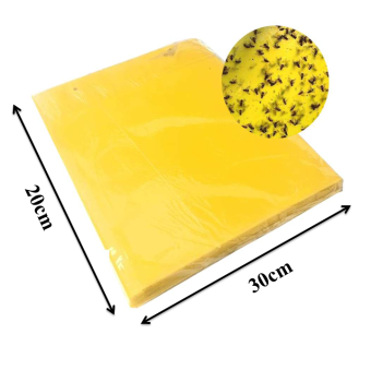 Set 50 miếng dán bẫy côn trùng, ruồi vàng kích thước 30cmx25cm