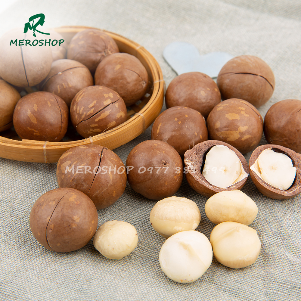 500gram hạt macca sạch daklak sấy chín lon pét
