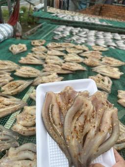 Khô cá lóc Đồng Tháp ( 2 nắng)  phơi tự nhiên (1KG)