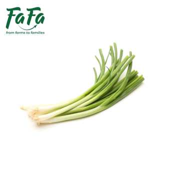 Hành Lá FAFA 100gr/bó