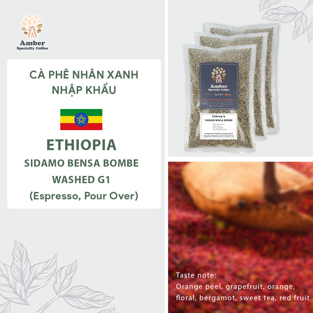 Cà Phê Nhân Xanh Ethiopia Sidamo Bensa Bombe Washed G1 - 1kg | Amber Specialty Coffee