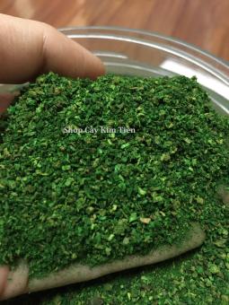 Bột cỏ nhân tạo, keo sữa dùng trong trang trí tiểu cảnh, chậu cây ...