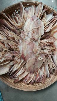 KHÔ MỰC CÂU CÀ MAU NGON MỚI THỊT THƠM NGỌT PHÂN LOẠI 1KG 500GR 200GR