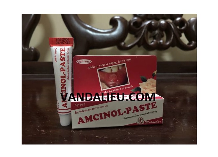 Gel bôi nhiệt miệng amcinol - paste gel 5g.