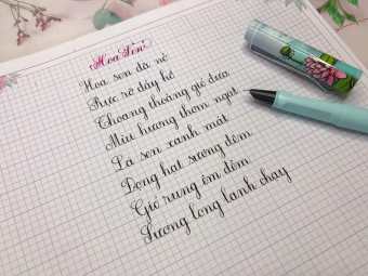 Bút máy Leta hoa sen ngòi kim tinh thanh đậm