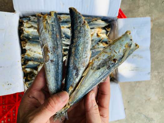 Cá minh thái khô, Chế biến cá nục khô - Khô cá Nục bỏ đầu loại To, thịt Dai, Thơm ngon giàu Dinh Dương , Sạch sẽ, An toàn - 100% tự nhiên. 1kg, 500gr, 100gr