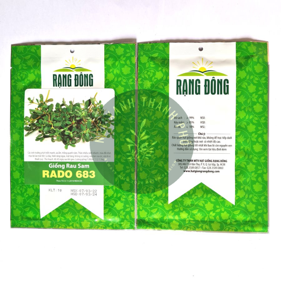 Hạt giống Rau Sam 1gr