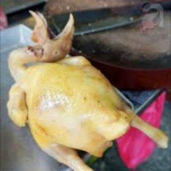 Gà ta thả vườn loại 1,7kg ngon, ngọt, dai để kho,  luộc, chiên, ăn lẩu - giao trong ngày kv HCM- có hỗ trợ ship- voucher 30k