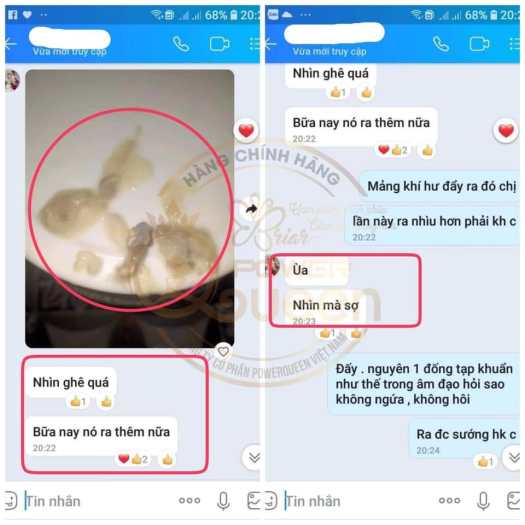 VIÊN ĐẶT THẢO MỘC TẦM XUÂN BRIAR - HỘP 10 VIÊN - hàng chuẩn công ty