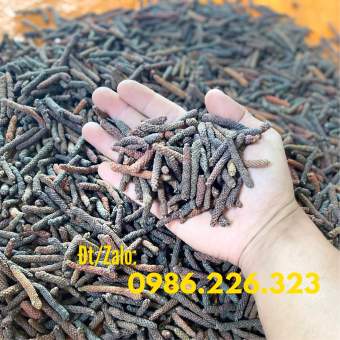 2Kg Tiêu Lốp Sấy Khô Hữu Cơ ( Tiêu Lốt Sấy Khô) Thương Hiệu Tiêu Lốp LOPECO Hàng Xô Chất Lượng Giá Tại Vườn