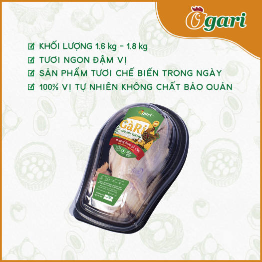 Gà Ri Mái Rớt Trứng Ogari