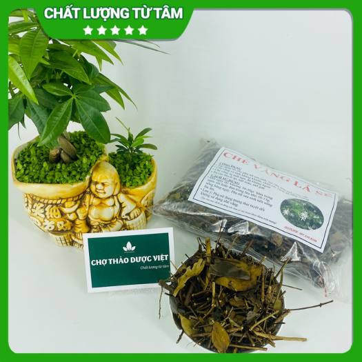 Trà Vằng Sẻ Khô Thơm Sạch Đã Sao Vàng Hạ Thổ 100g Giúp Lợi Sữa Cho Phụ Nữ Sau Sinh