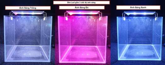 Đèn Led 3 Chế Độ Màu Gác Thành Bể Cá, Bể Thủy Sinh 30cm