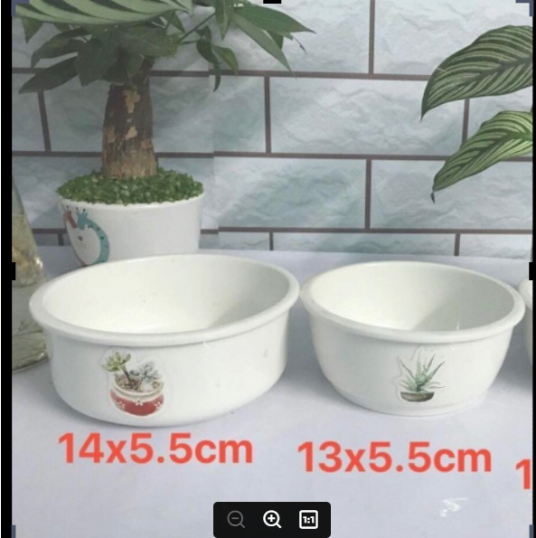 Bộ 2 chậu sứ trồng cây
