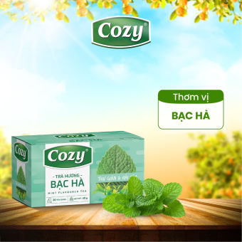Trà Hương Bạc Hà túi lọc Cozy (40gr/2g x 25 túi lọc)