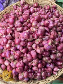 hành tím lý sớn hành loại 1 lựa từng củ (hành tím ấn độ, tỏi tím, tỏi cô đơn, hành tím)