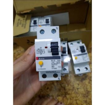 Aptomat Chống Giật 2 Pha Misubishi C32A