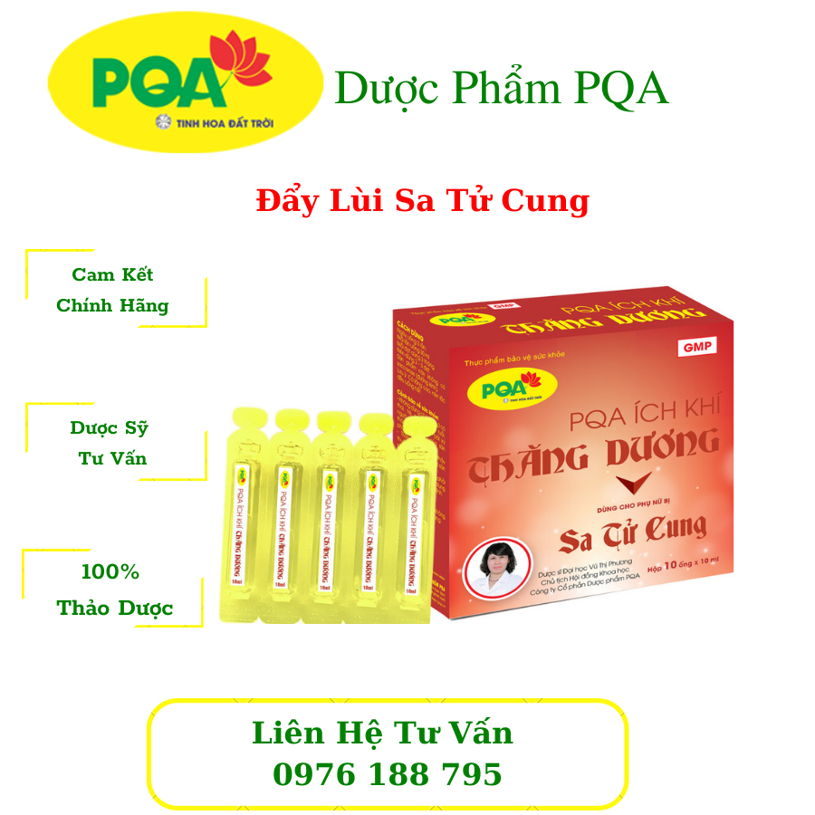 PQA Ích Khí Thăng Dương - Sa tử cung, sa dạ dày, sa búi trĩ, thoát bị bẹn