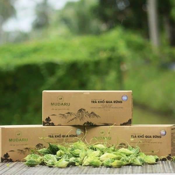 Combo 4 hộp Trà Khổ Qua Rừng Mudaru