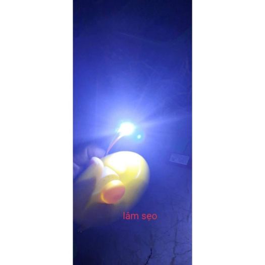 Hot-selling household goods Bóng đèn led siêu sáng lắp cho diều Bóng đèn led siêu sáng có nhiều màu (có dây nối sẵn về chỉ việc nối.SL: 1 bóng)