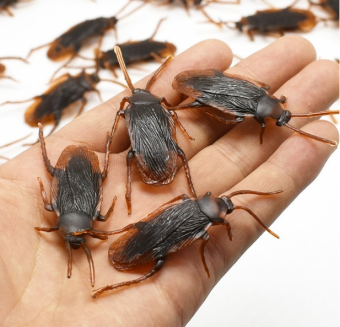 Đồ Chơi Con Gián Giả Cho Chó Mèo