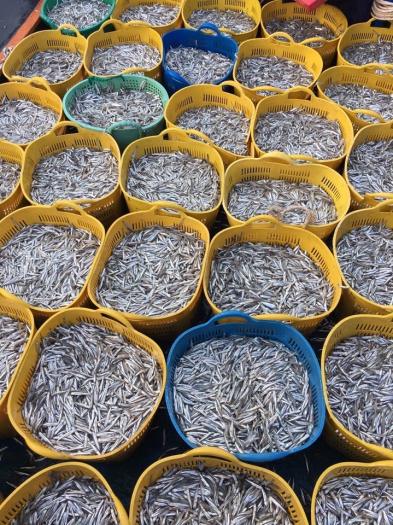 01  thùng nước Mắm cá cơm Hương Biển  loại 30 độ đạm 6 chai x 500ml = 3 lít