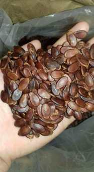 0.5 kg Hạt dưa không màu loại đặc biệt - hàng luôn mới