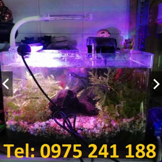 Đèn led bể cá Caibao T4-60LED (dùng cho bể 60-80cm)