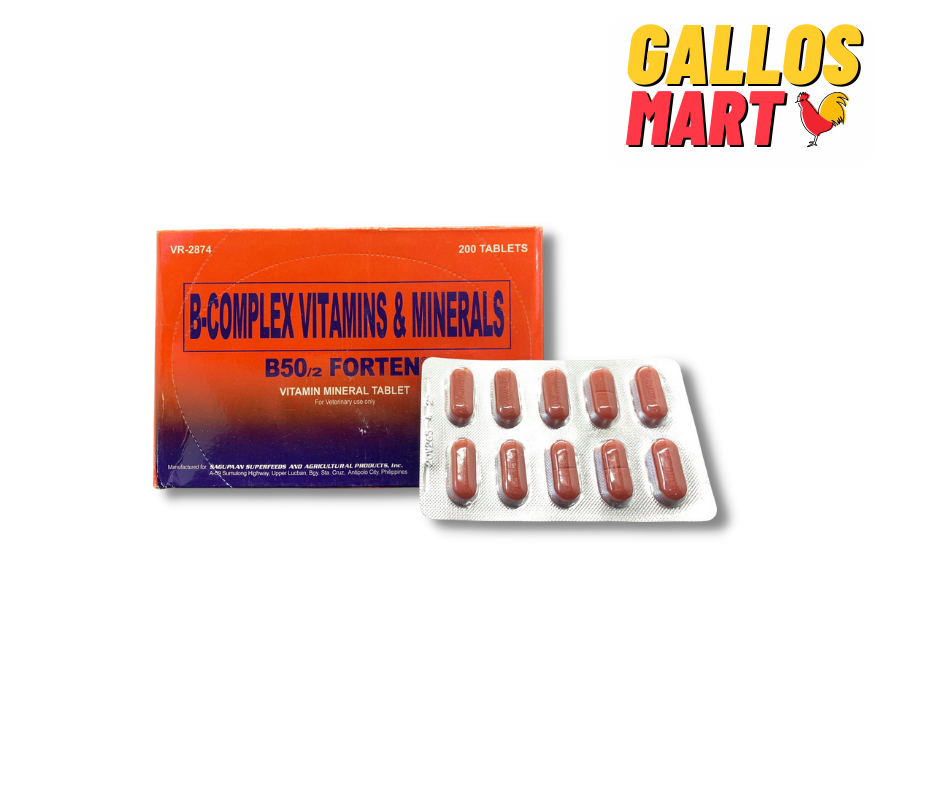 COMBO 2 VỈ B50/2 FORTEN - PHILIPPINES CHUYÊN NUÔI TĂNG CƠ, TĂNG NƯỚC MÁU, NỞ KHUNG XƯƠNG