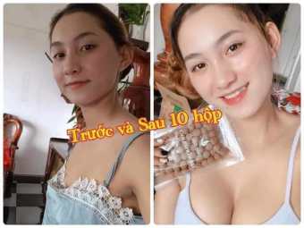 Mầm Lúa Mạch Gold