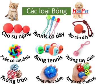 HP- Đồ chơi chó mèo các loại bóng chó chơi bóng mèo chơi banh chó mèo nhiều loại