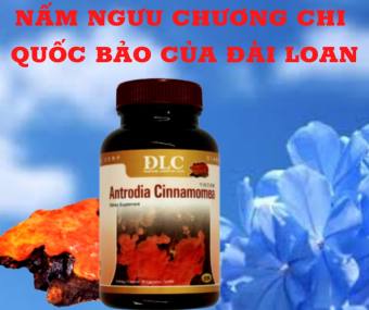 Feeship+voucher20k- VIÊN UỐNG NẤM NGƯU CHƯƠNG CHI -QUỐC BẢO CỦA ĐÀI LOAN-  KHẮC TINH CỦA BỆNH GAN- CHỐNG OXY HOÁ-TĂNG CƯỜNG MIỄN DỊCH