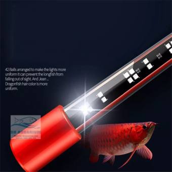 ĐÈN LED CÁ RỒNG MAYIN SUPER COLOUR CHUYÊN DỤNG CHO HUYẾT LONG 92CM