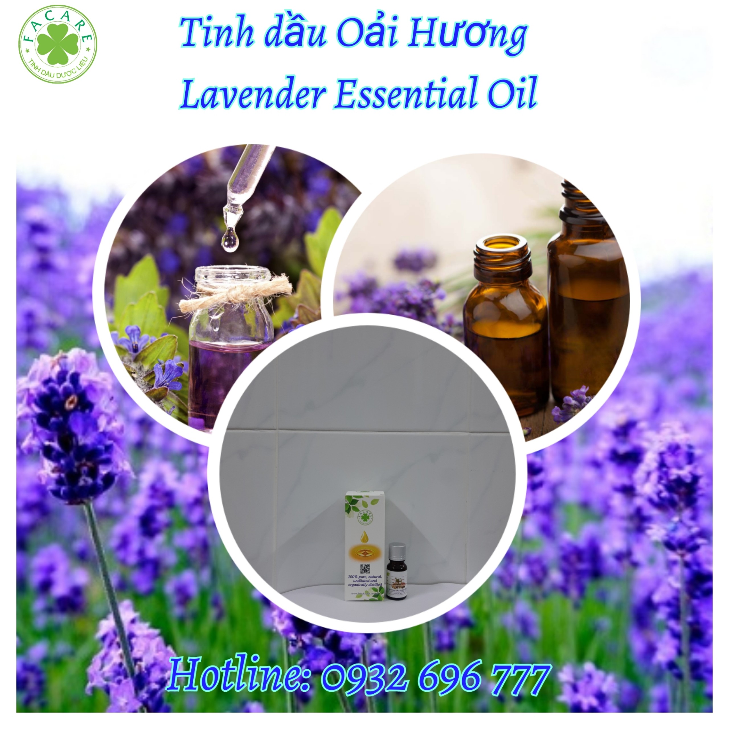 Tinh dầu Oải Hương Lavender essential oil giúp khử mùi, thơm phòng - 10ml