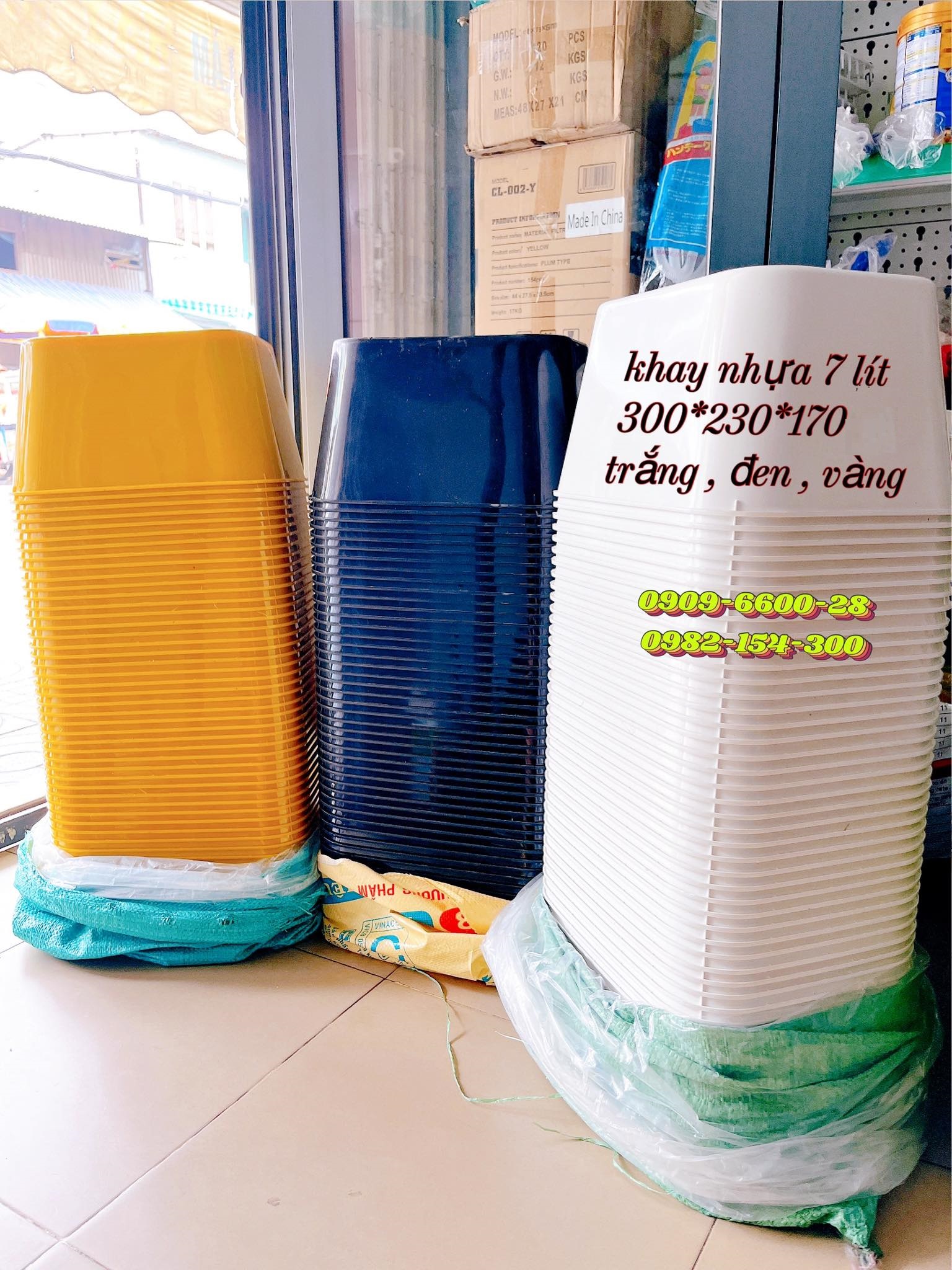 Khay nhựa nuôi cá con thùng kem ép cá , khay 7 lít