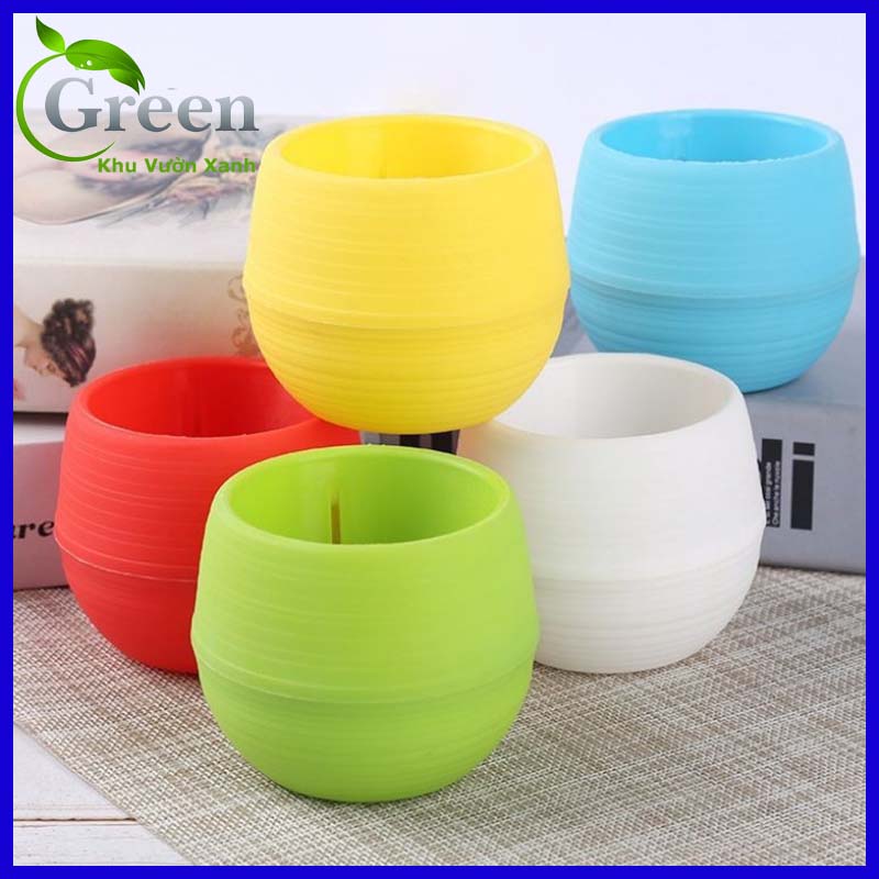 Combo 5 cái chậu trồng sen đá mini bằng nhựa nhiều màu sắc mix