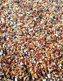 Ngũ cốc dinh dưỡng cho Chim Cu Gáy 1Kg