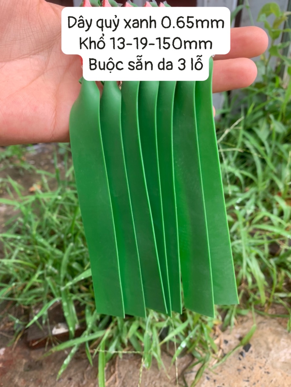 Dây quỷ xanh buộc sẵn