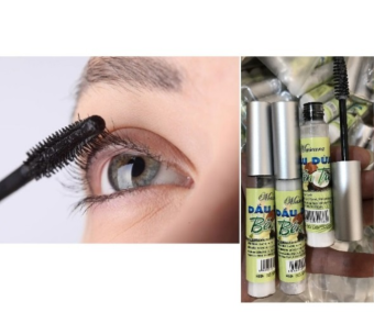 Tinh Dầu Dừa Dưỡng Dài, Dày, Cong Mi Bến Tre