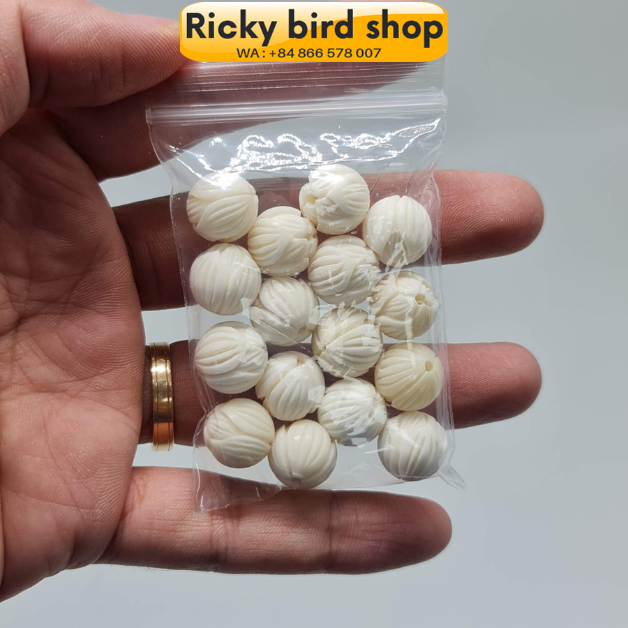 Bi chân cho lồng chim làm từ xương trâu