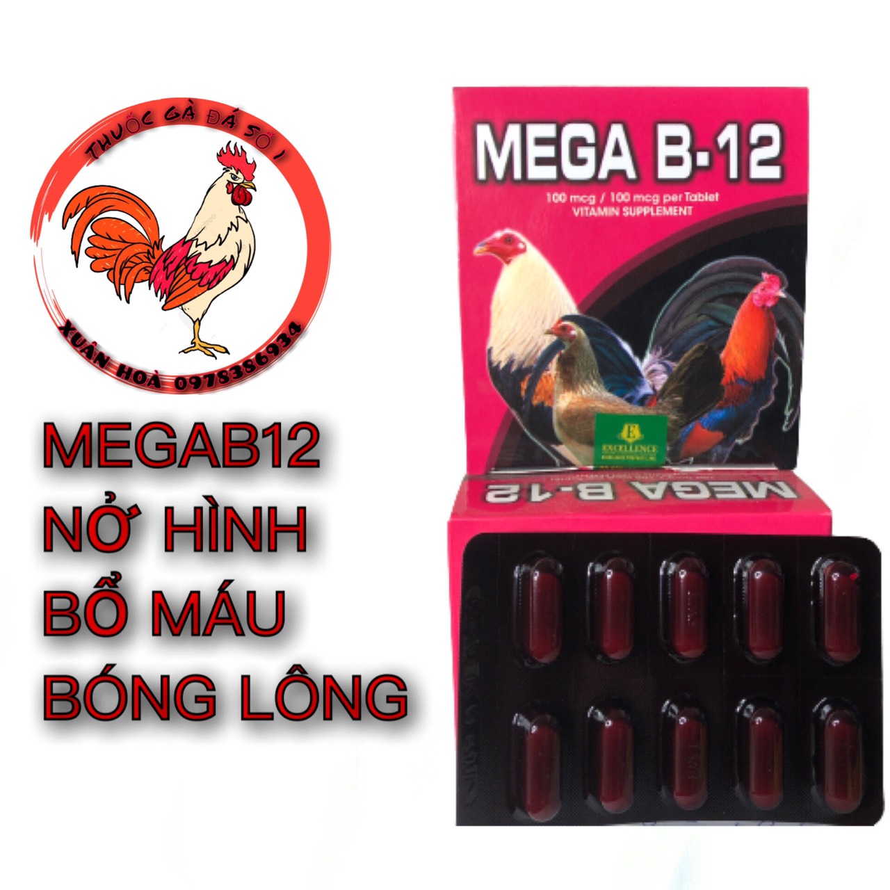 Mega b12 - tăng nước máu, nở hình, tăng bo đá cho gà