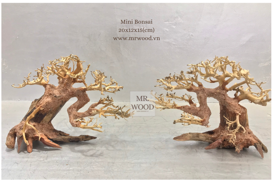 Lũa Bonsai mini cho hồ thủy sinh - Xưởng Lũa Mr Wood