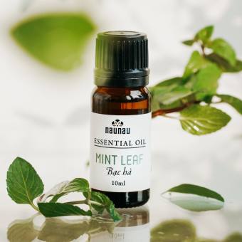 Tinh dầu Bạc Hà