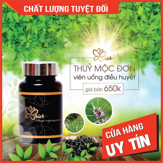 VIÊN ĐIỀU HUYẾT THUỶ MỘC ĐƠN BRIAR Tặng 1 viên đặt Briar pk