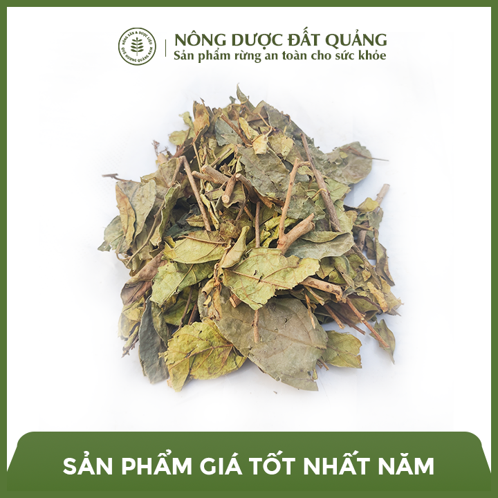 Trà xạ đen khô một nắng Quảng Nam hỗ trợ ung thư, giải rượu giải độc mát gan giúp ngủ ngon