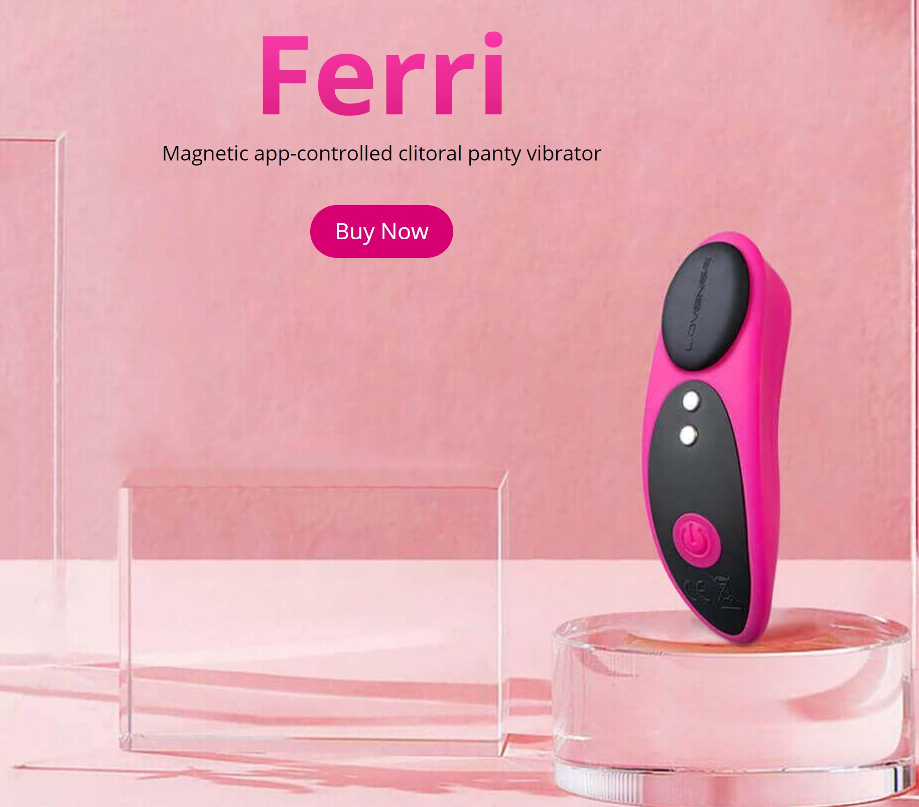 LOVENSE Ferri Mini Wearable Bluetooth Magnetic Panty Vibrator with