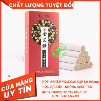 1 hộp 10 điếu ngải cứu cao cấp 10 năm- nhang ngải cứu- hương ngải nhung